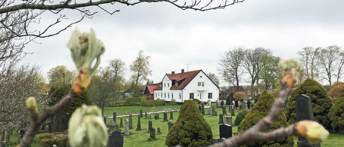 Skånsk vitkalkad gård i lummig miljö.