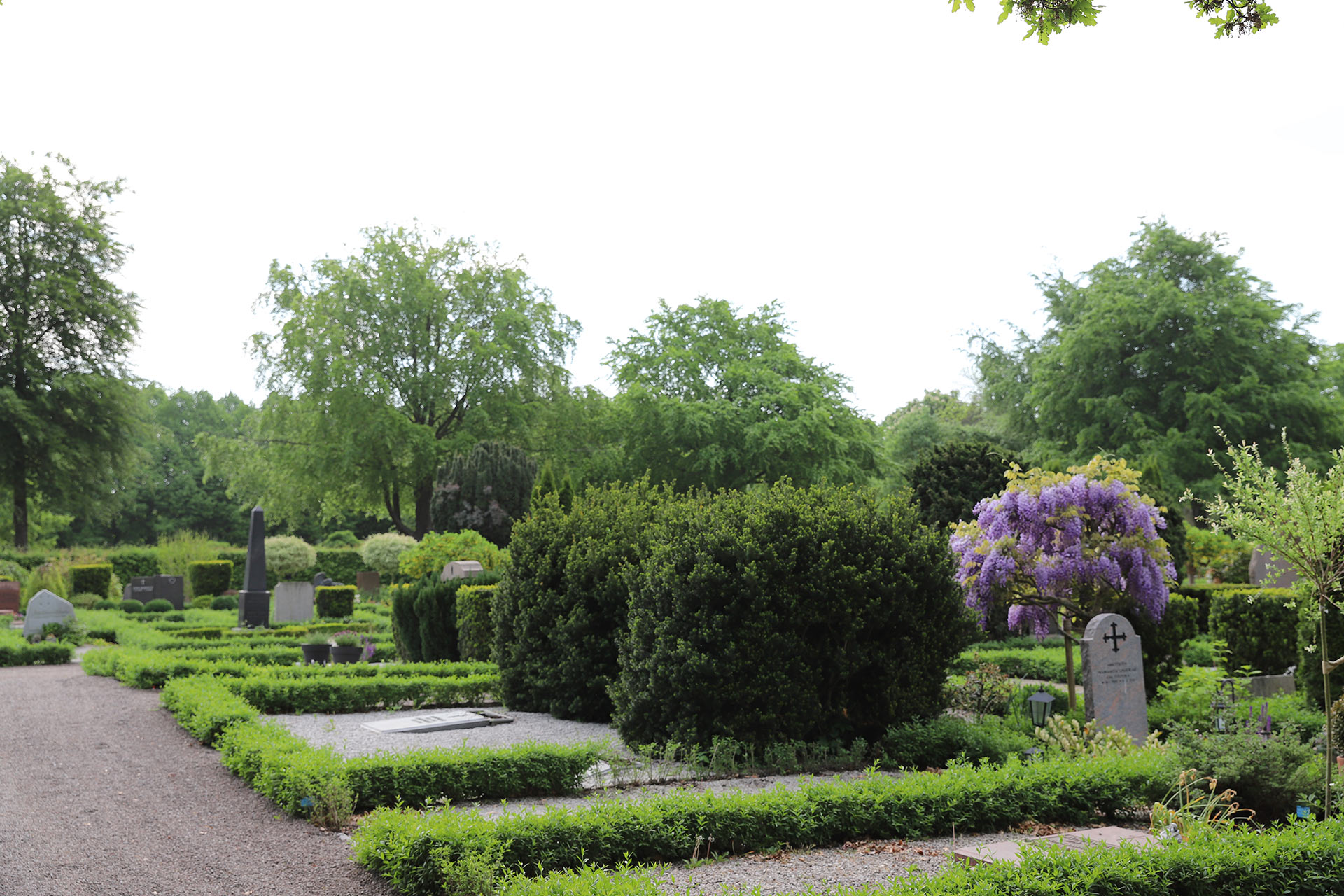 Limhamns kyrkogård i sommarskrud.