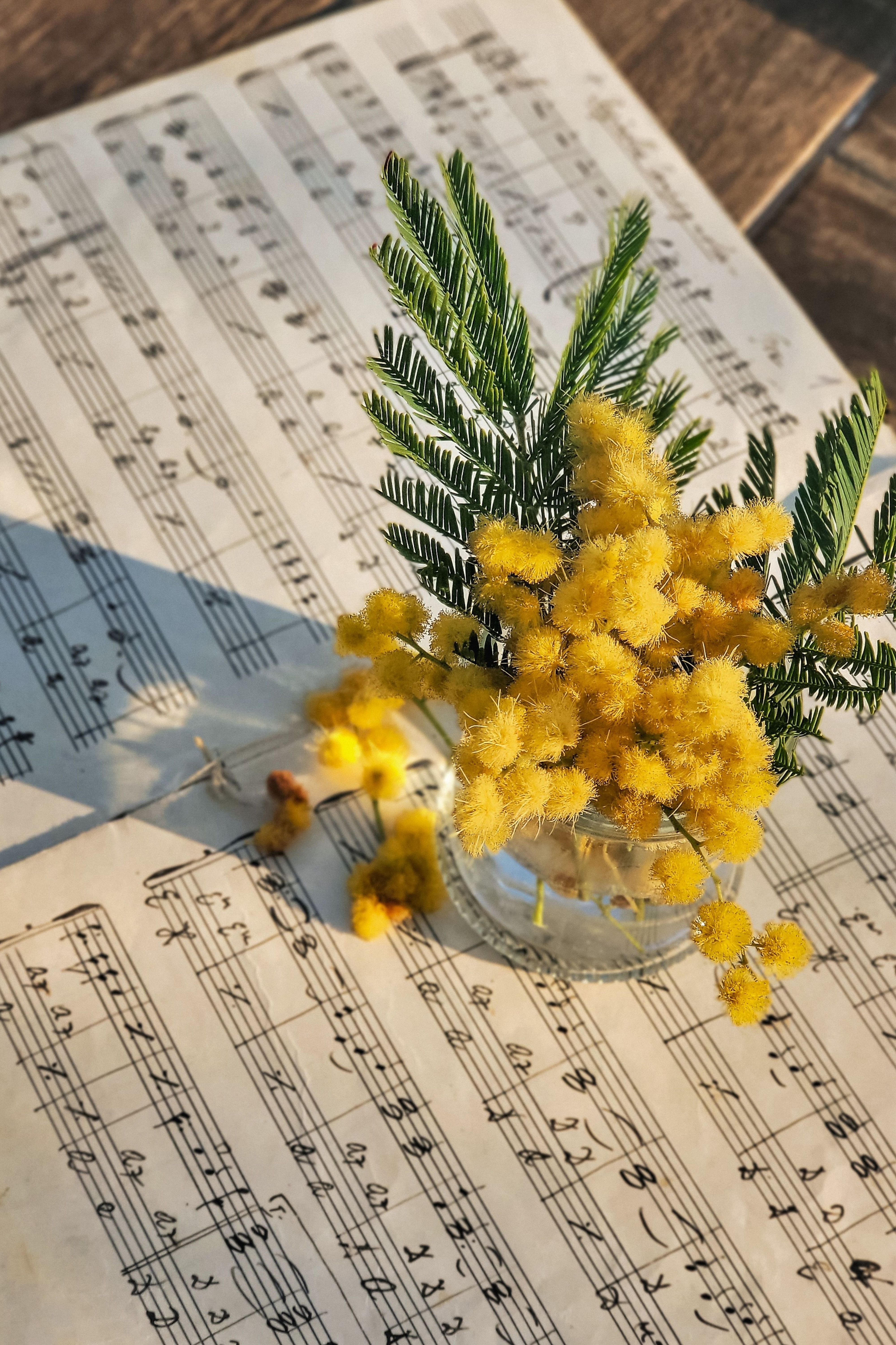Musik i sommarkväll