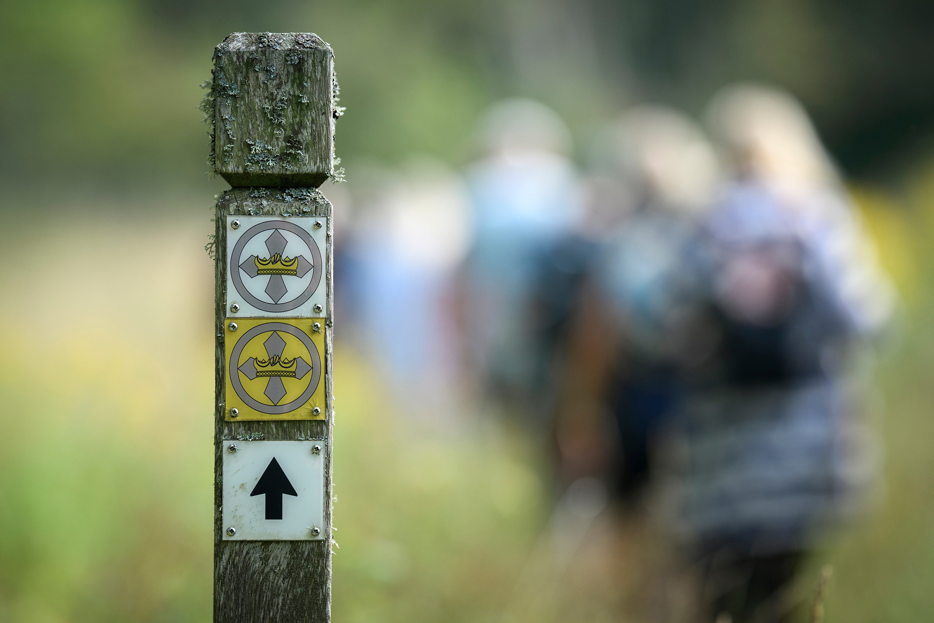 Närbild pilgrimsmärke