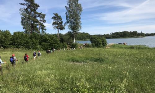 Är du intresserad av att pilgrimsvandra? Då kan du följa med Roslagens östra pastorats kyrkoherde Mika Wallander när hon vandrar mellan de 19 kyrkorna som finns i pastoratet.