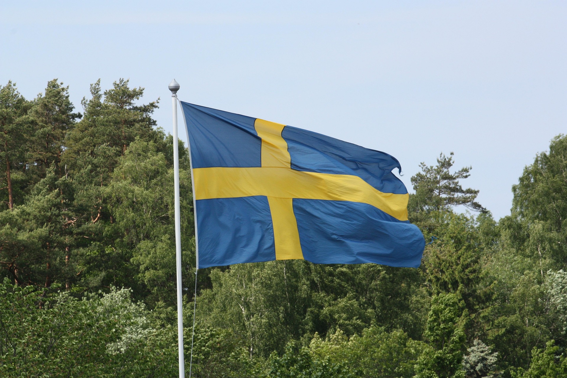 Flagga