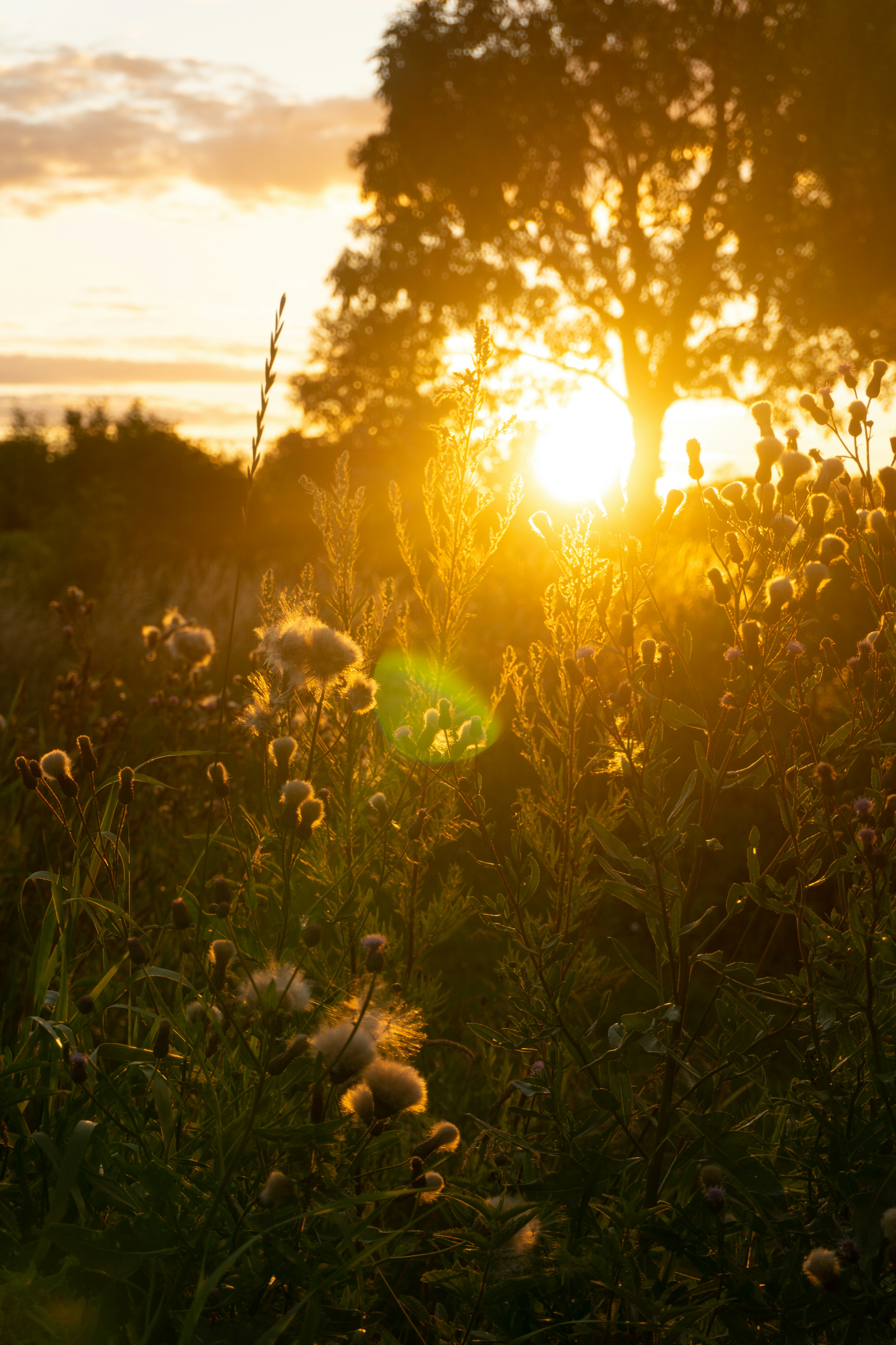 karin-lehtonen-ZQkq0xlSegk-unsplash