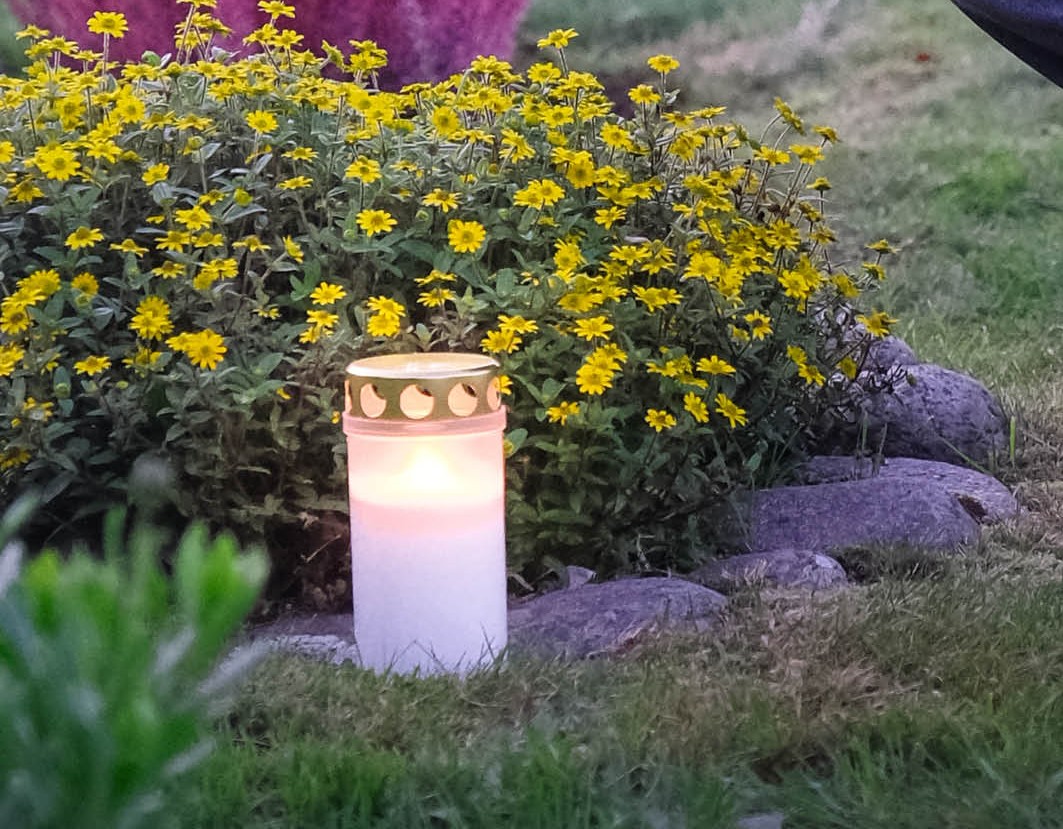 Gravljus på en sten blommor i bakgrunden