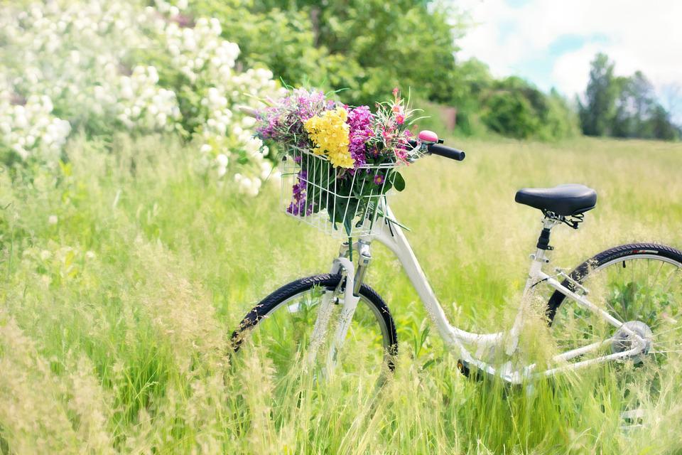 Cykel på en vacker blomsteräng, sommar