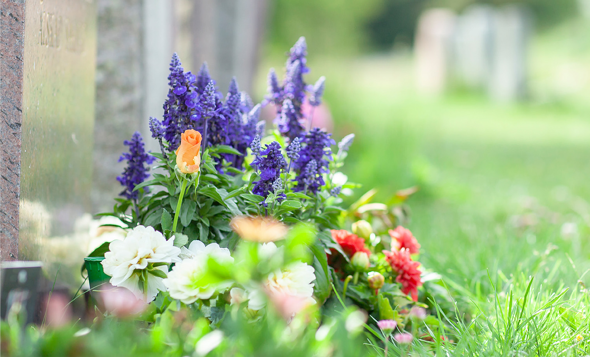 Grav, blommor
