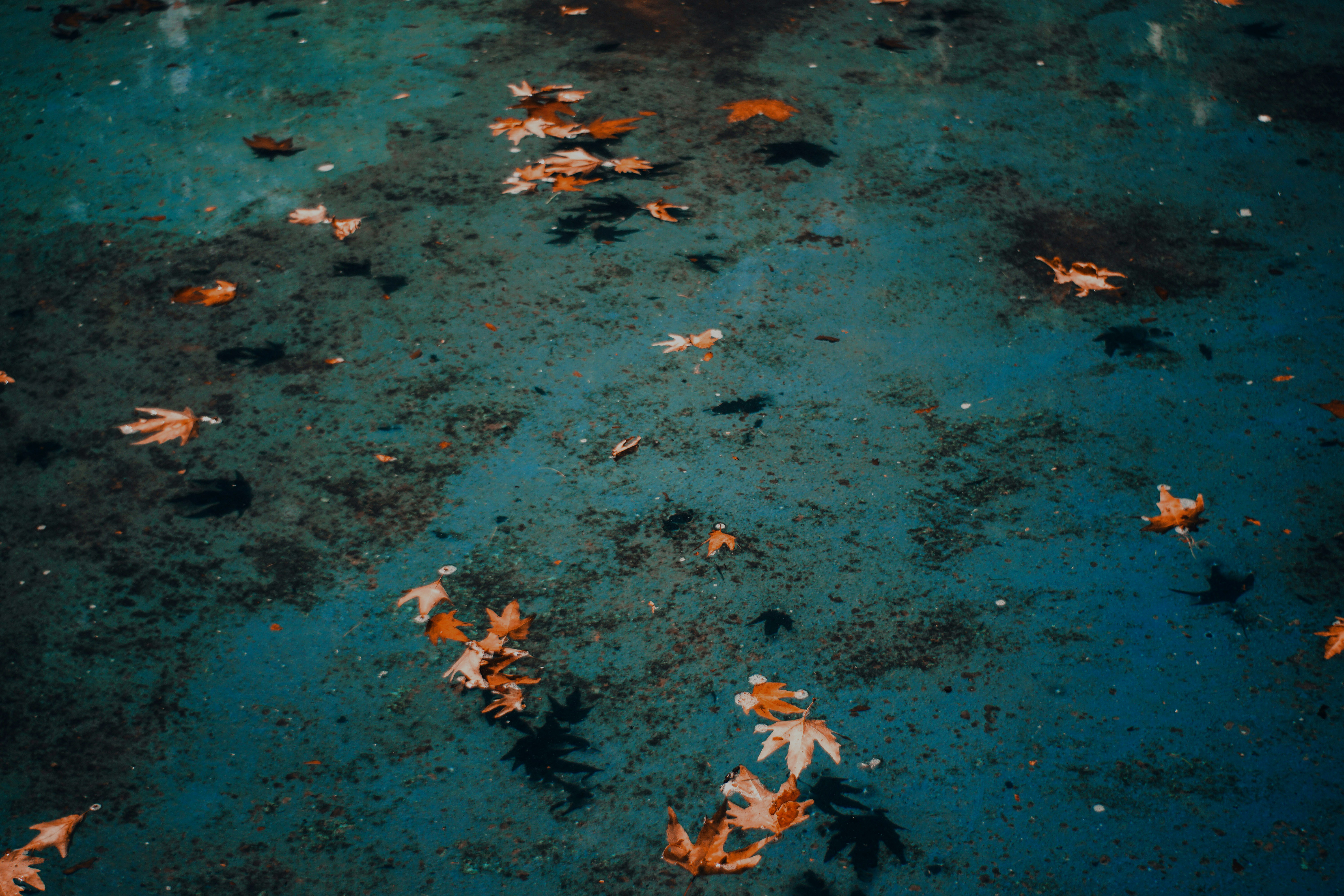 x4Bsd6E-unsplash