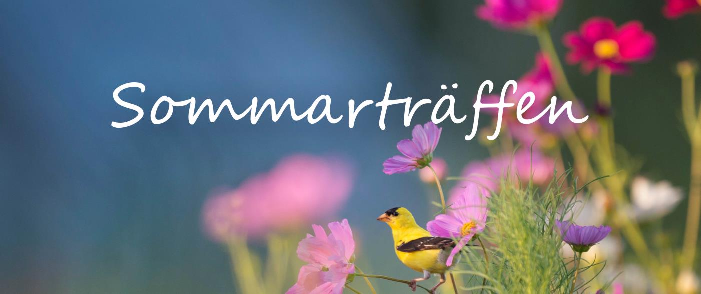 Vi ses fyra torsdagar i juli