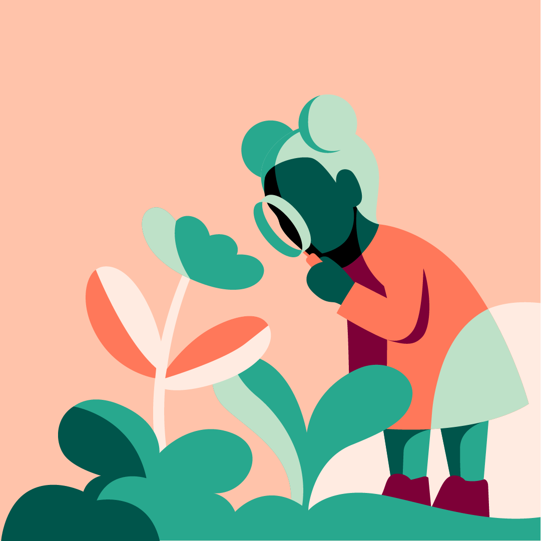 Blomma