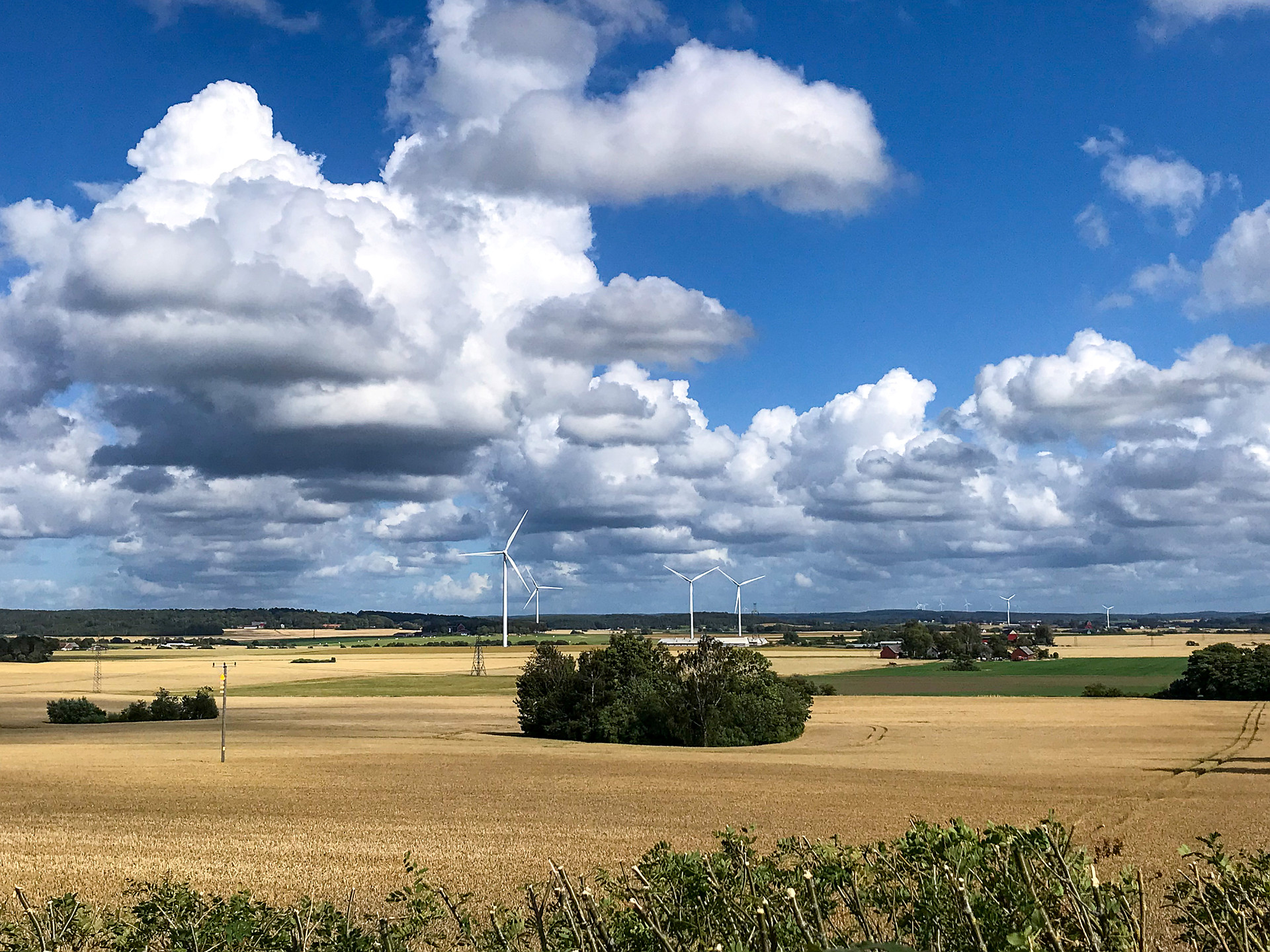 Vindkraftverk, åkrar och himmel