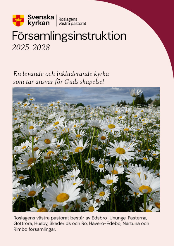 Församlingsinstruktion