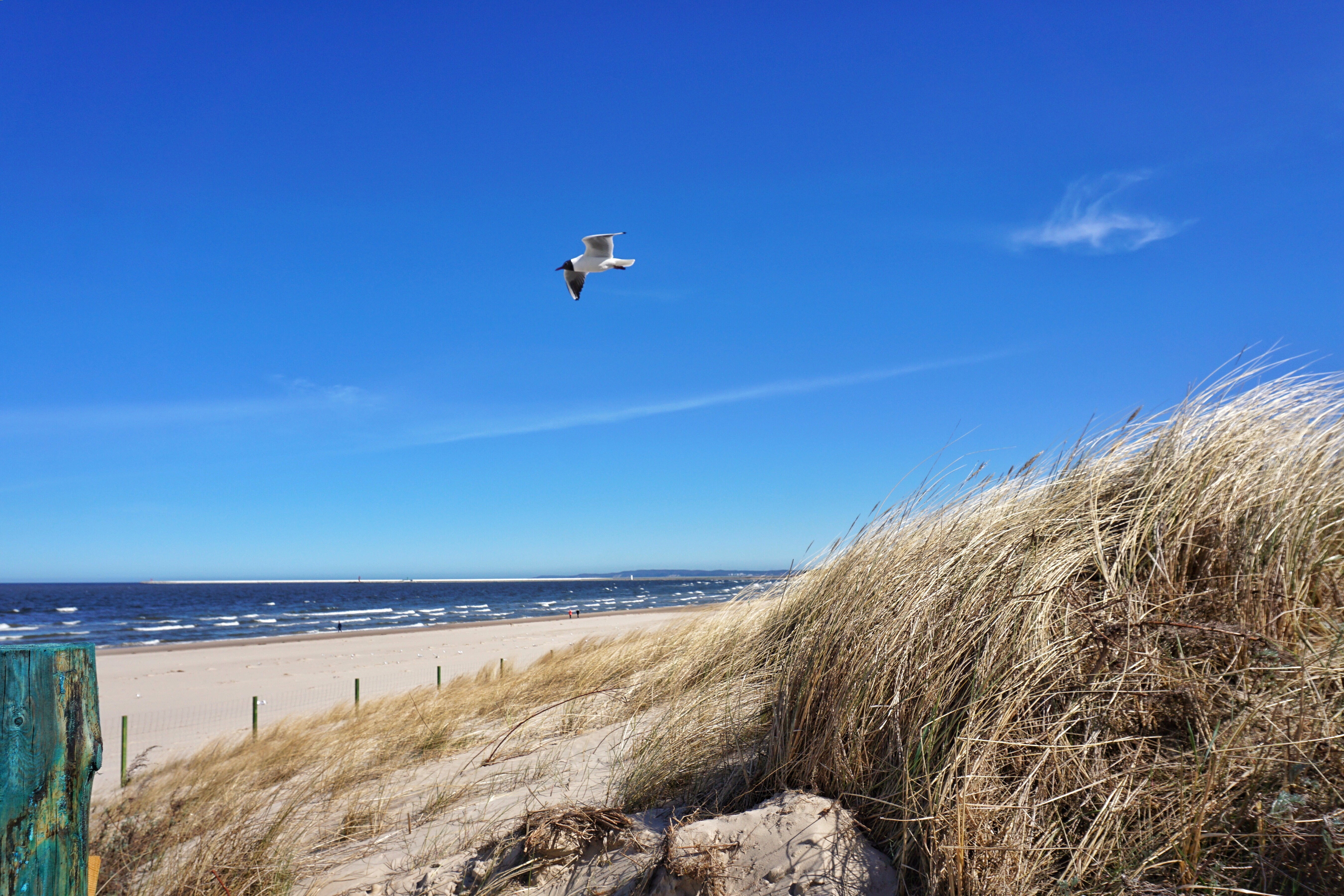 En badstrand med en blå himmel
