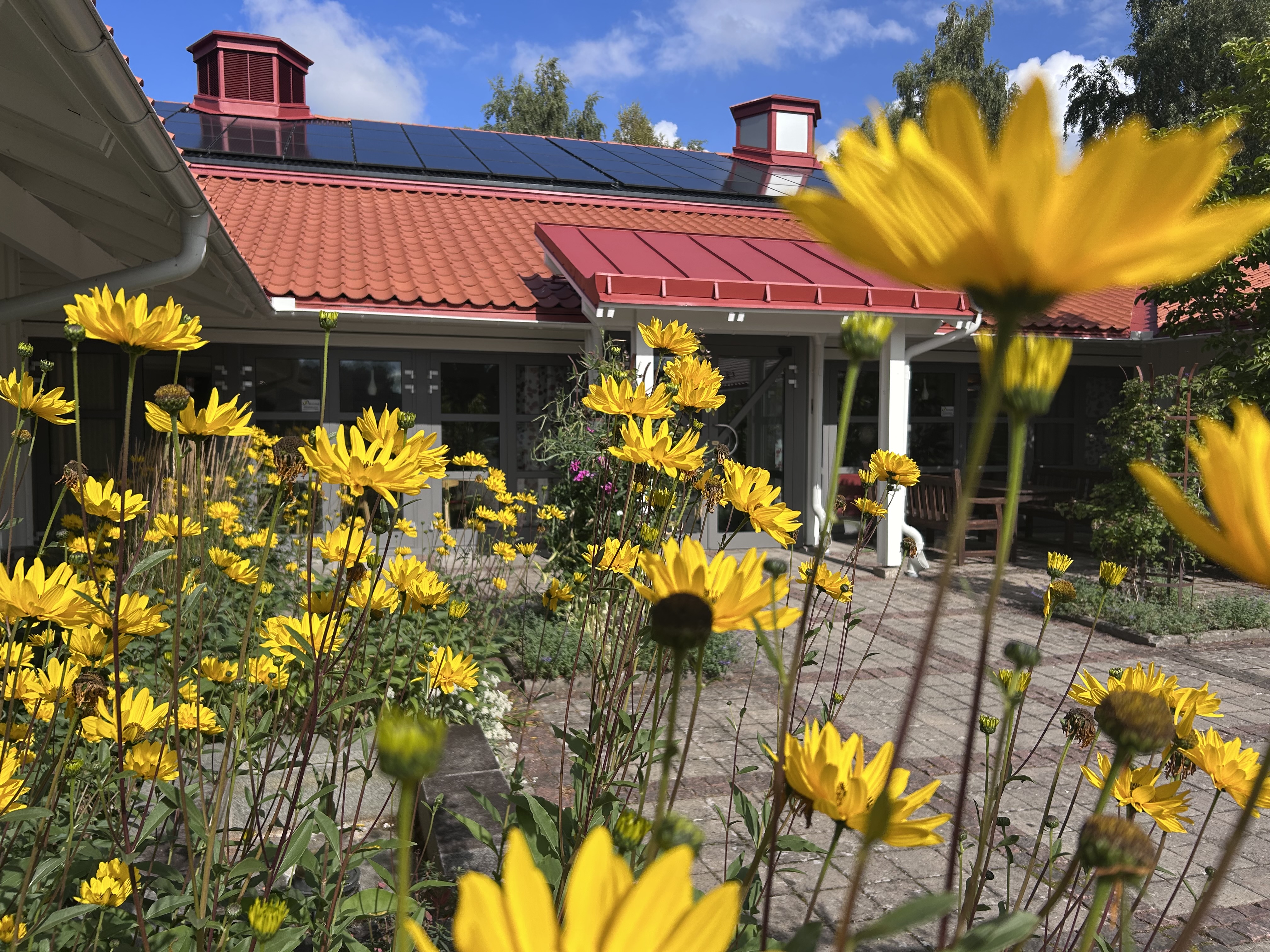 Gula blommor framför ingången till Kyrkans gård-lockörn