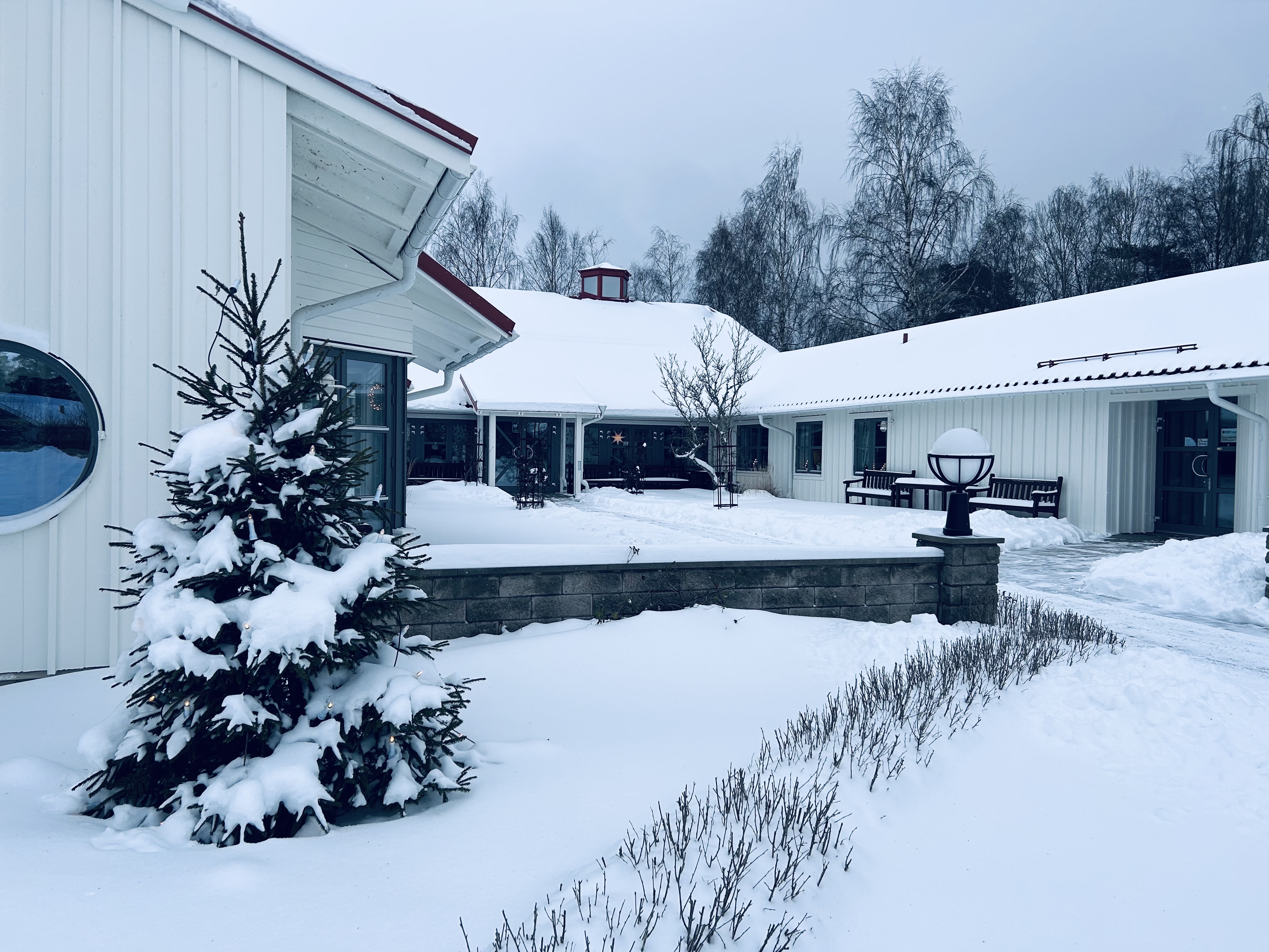 Kyrkans gård-Lockörn i snö