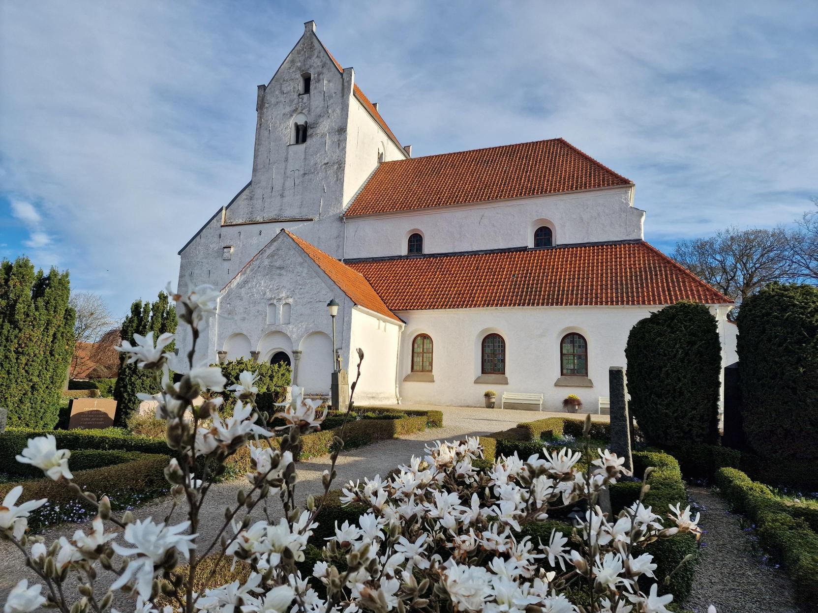 Bild på Dalby kyrka med magnolia