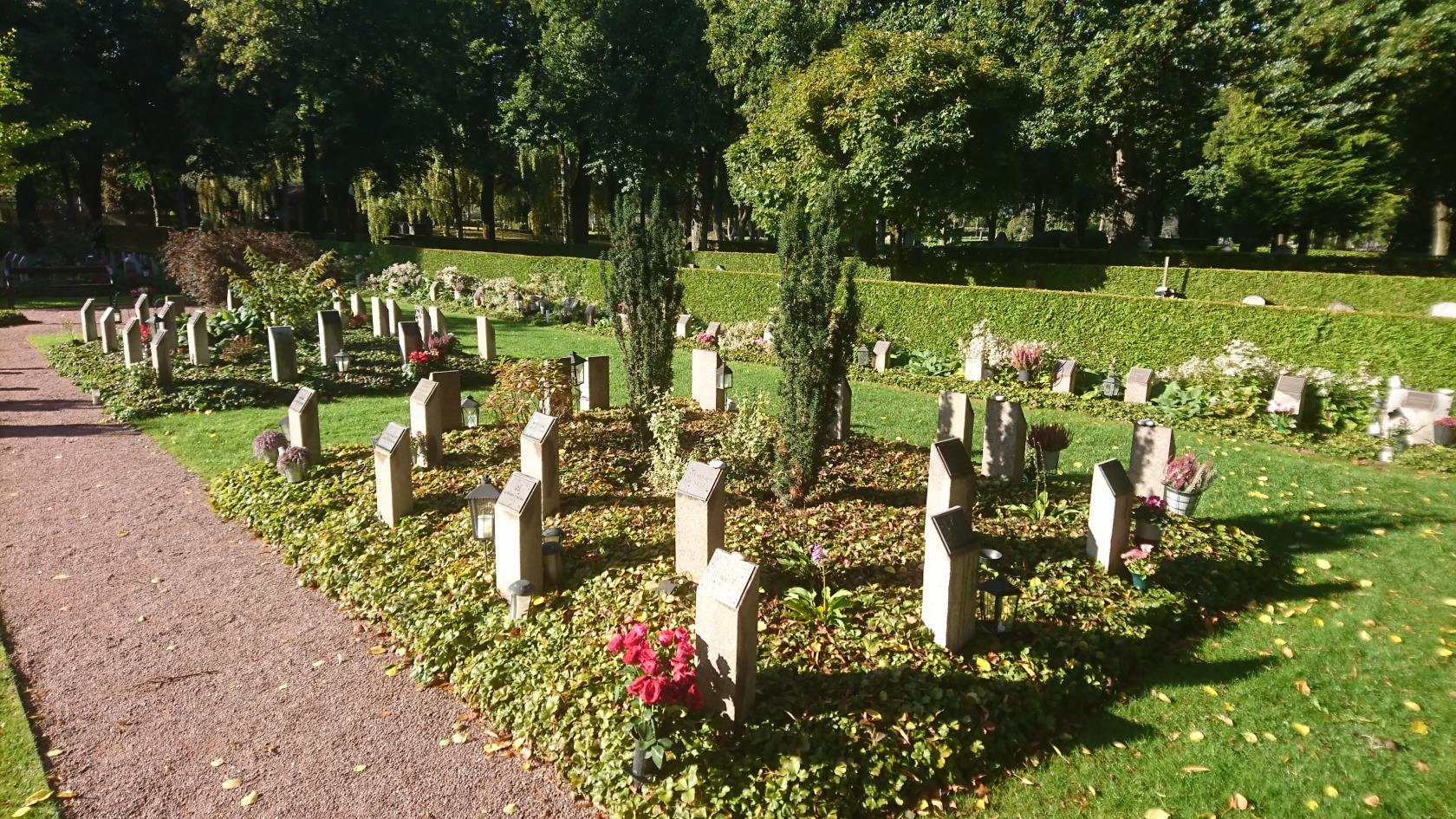 Bild över gravplatser på Slottskyrkogården.