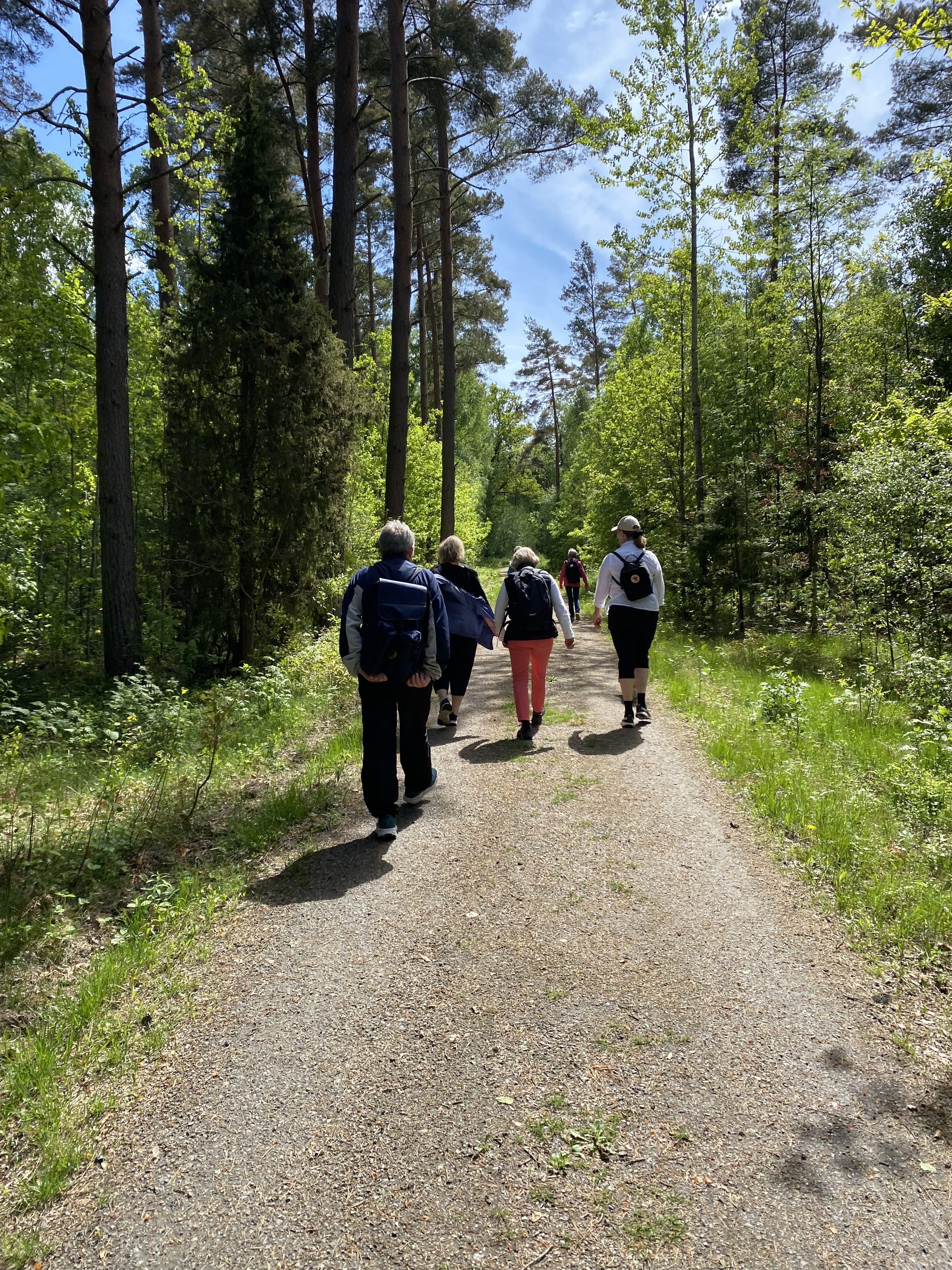 Vandring i grönskan, maj 2026