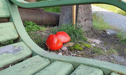 Välkommen att gå en stillsam och tänkvärd liten vandringsstig vid Ljusterö kyrkas prästgård.