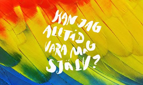 Regnbågsfärgade fjädrar och texten: "Kan jag alltid vara mig själv?"