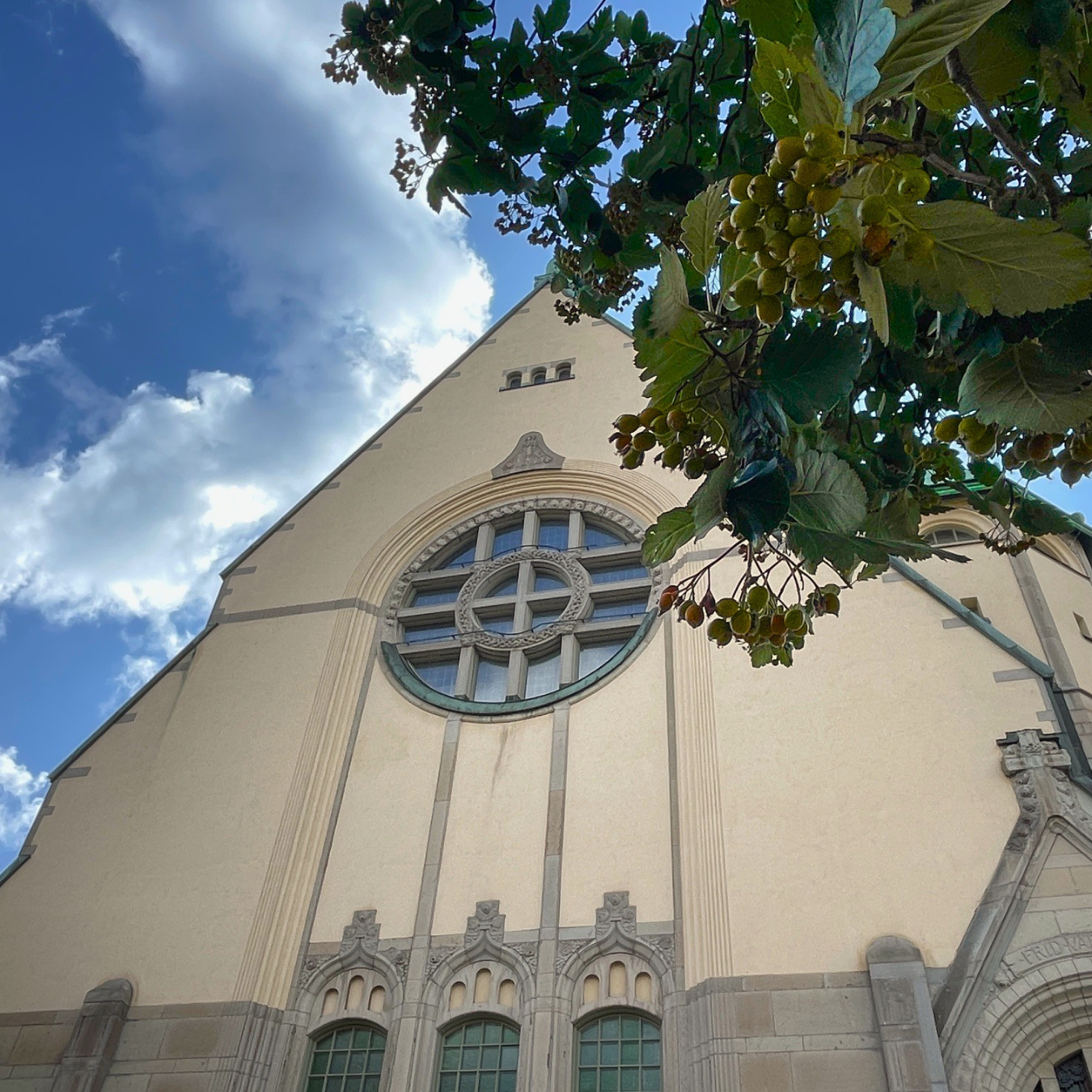 S:t Matteus kyrka hösten 2026, träd med höstbär i förgrunden.