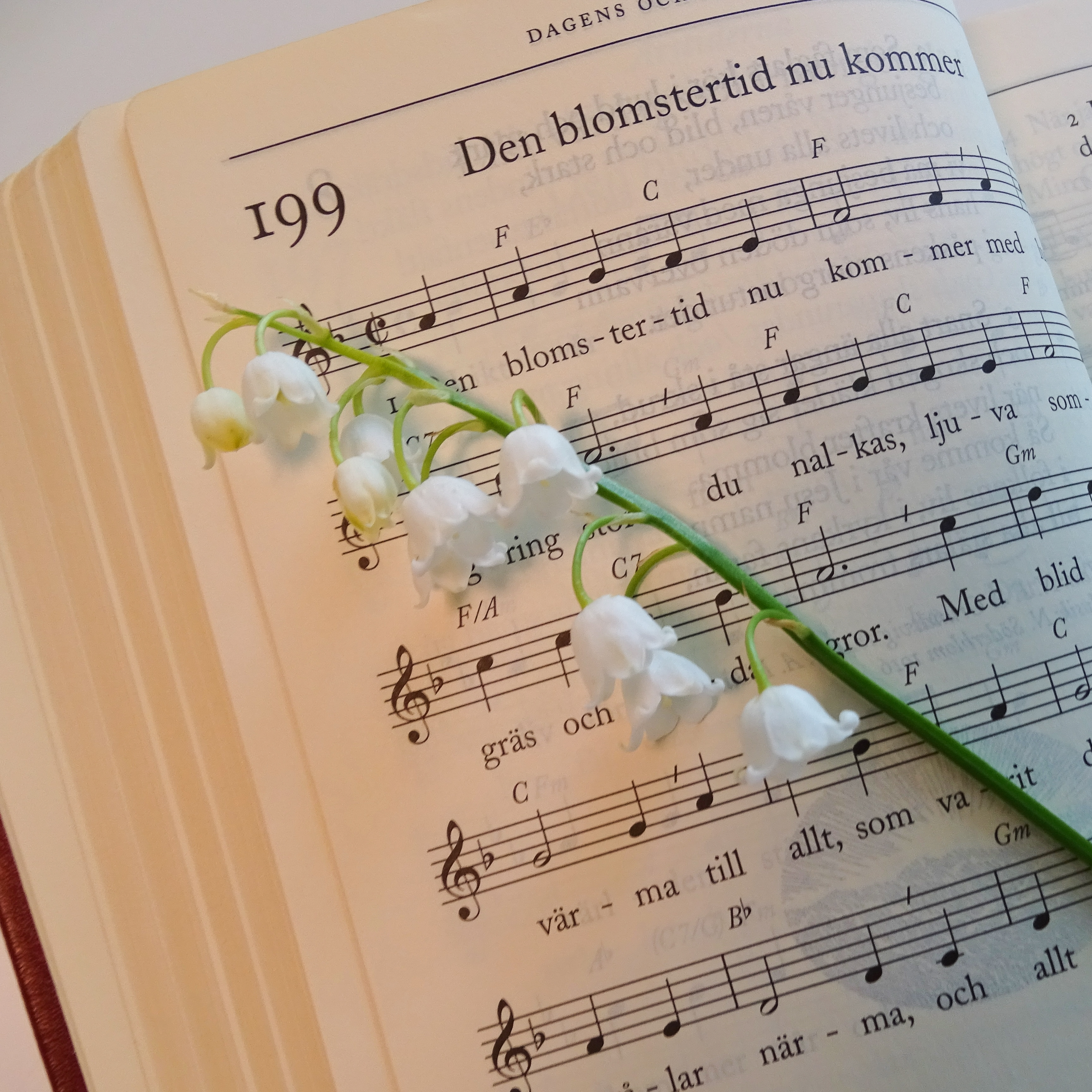 Uppslagen psalmbok med liljekonvaljkvist i. Psalmen som syns är nummer 199, Den blomstertid nu kommer.