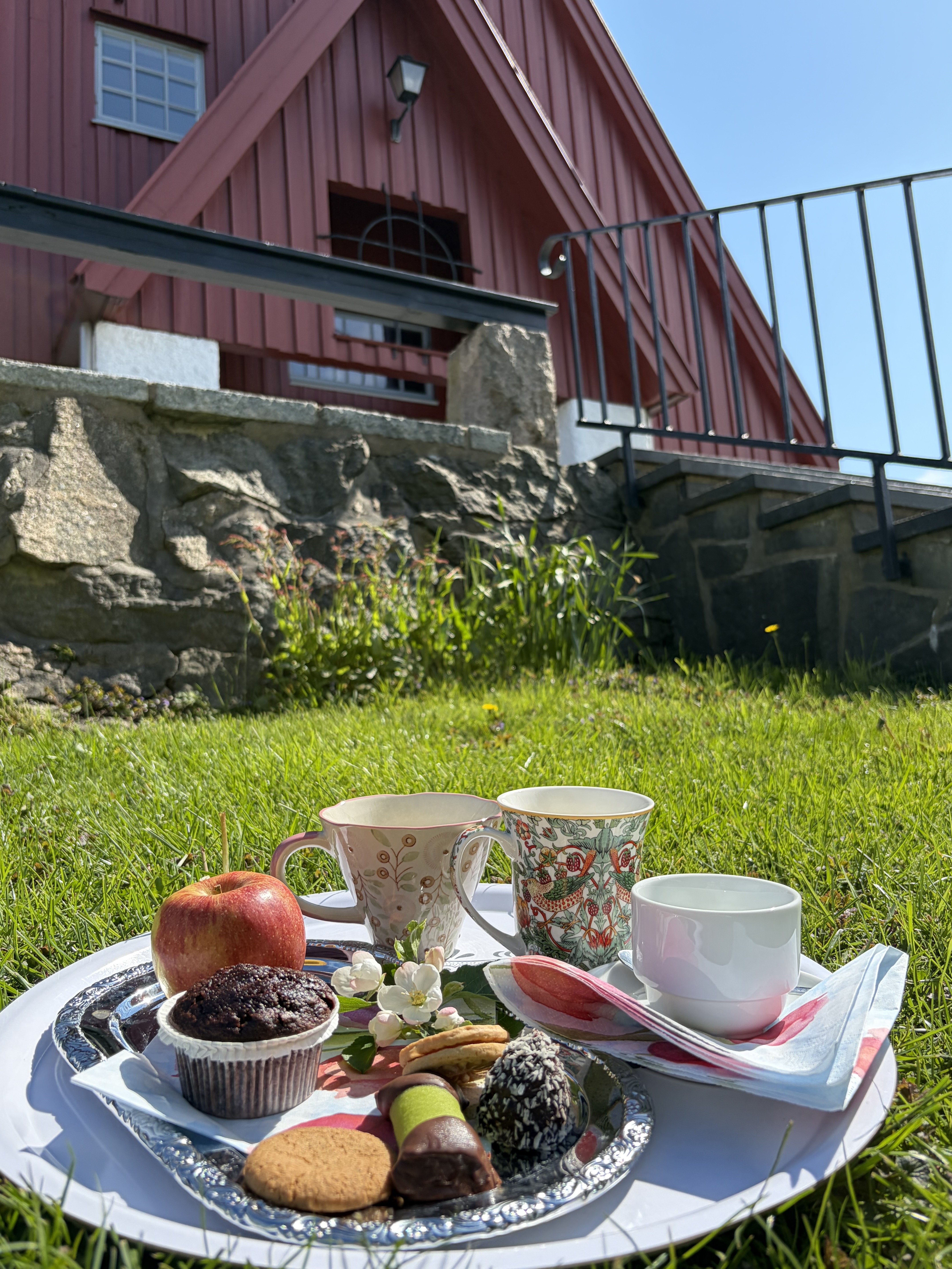 Bricka med blandad fika i gräset utanför Älvsborgs kyrka.