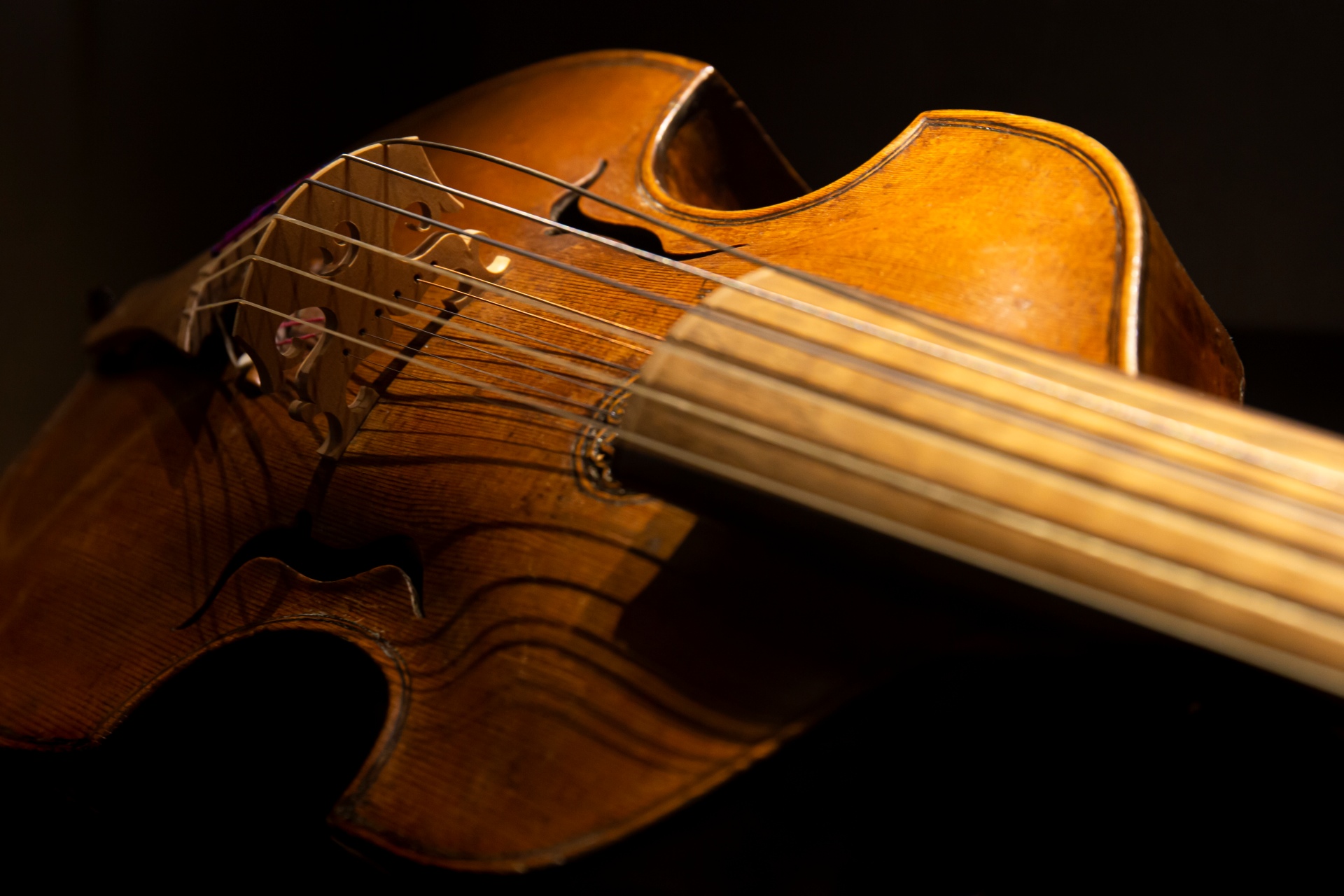 närbild på en viola da gamba med sex strängar