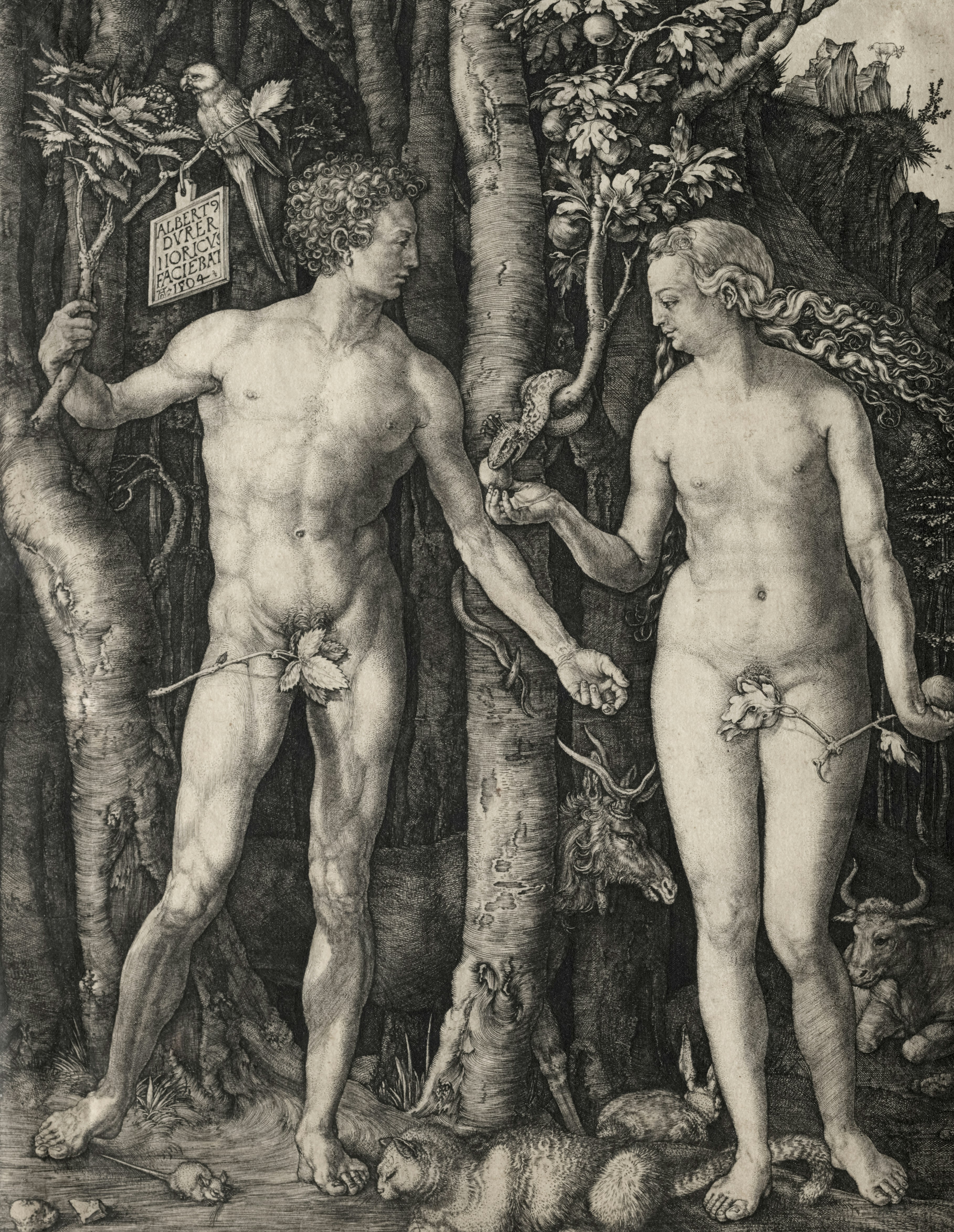 Bild: The fall of man, Albrecht Dürer (ca 1504)