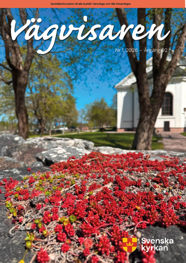 Vägvisaren 1, 2026