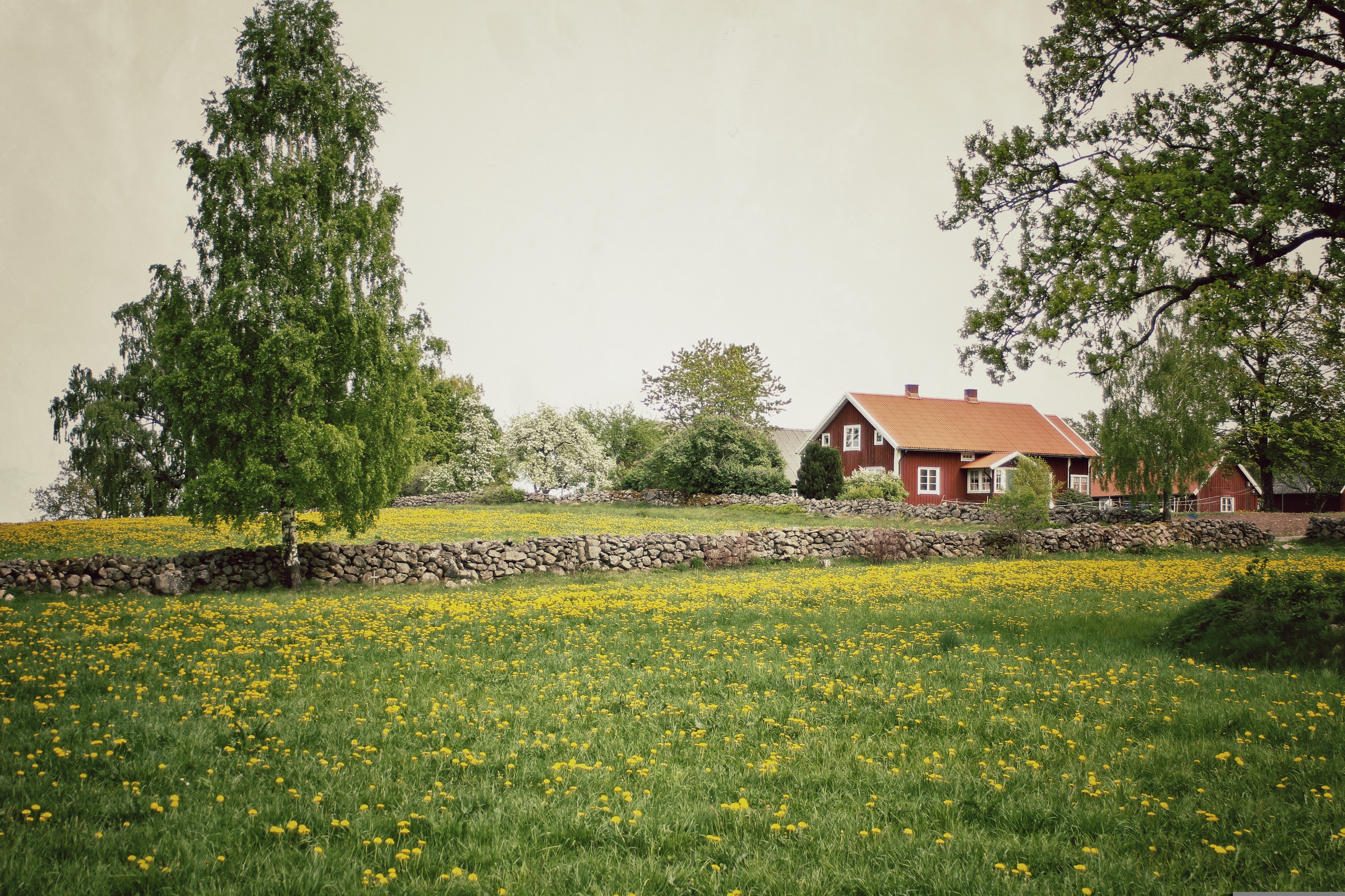 Svensk landsbygd