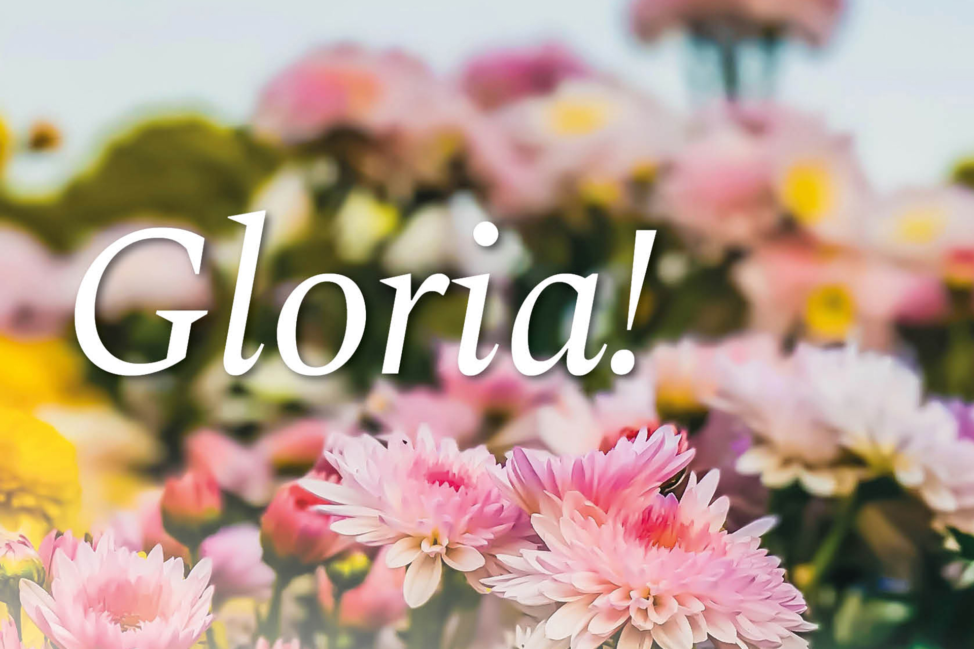 Texten Gloria! och sommarblommor i ljusa färger.
