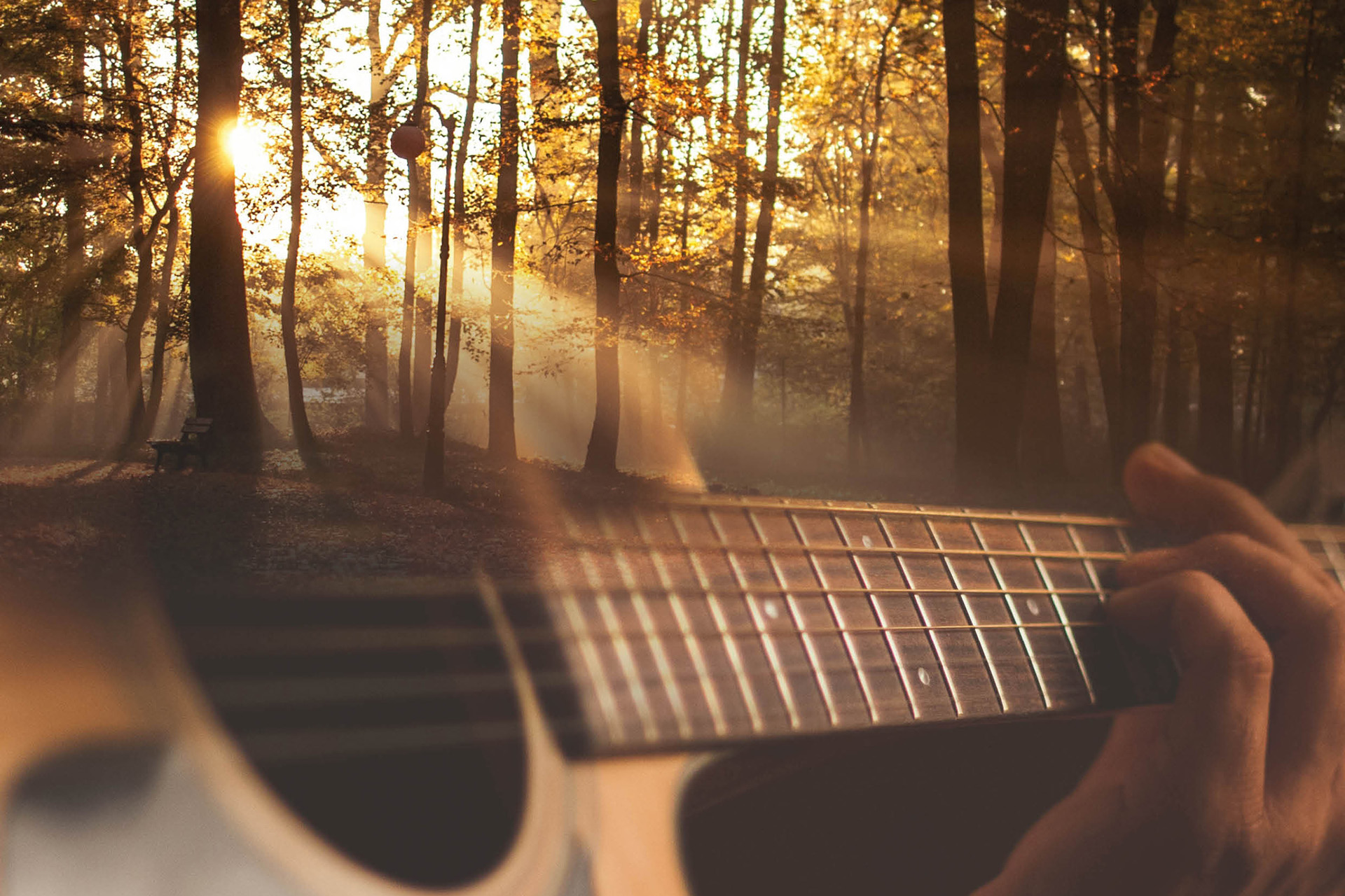 Händer som spelar gitarr samt en bild på en solstråle som bryter fram genom träd.