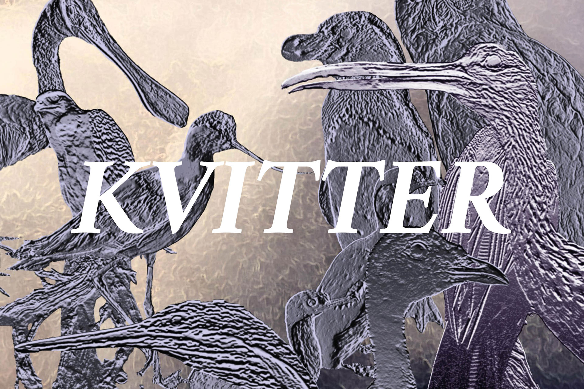En stiliserad bild av fåglar och ordet "kvitter". 