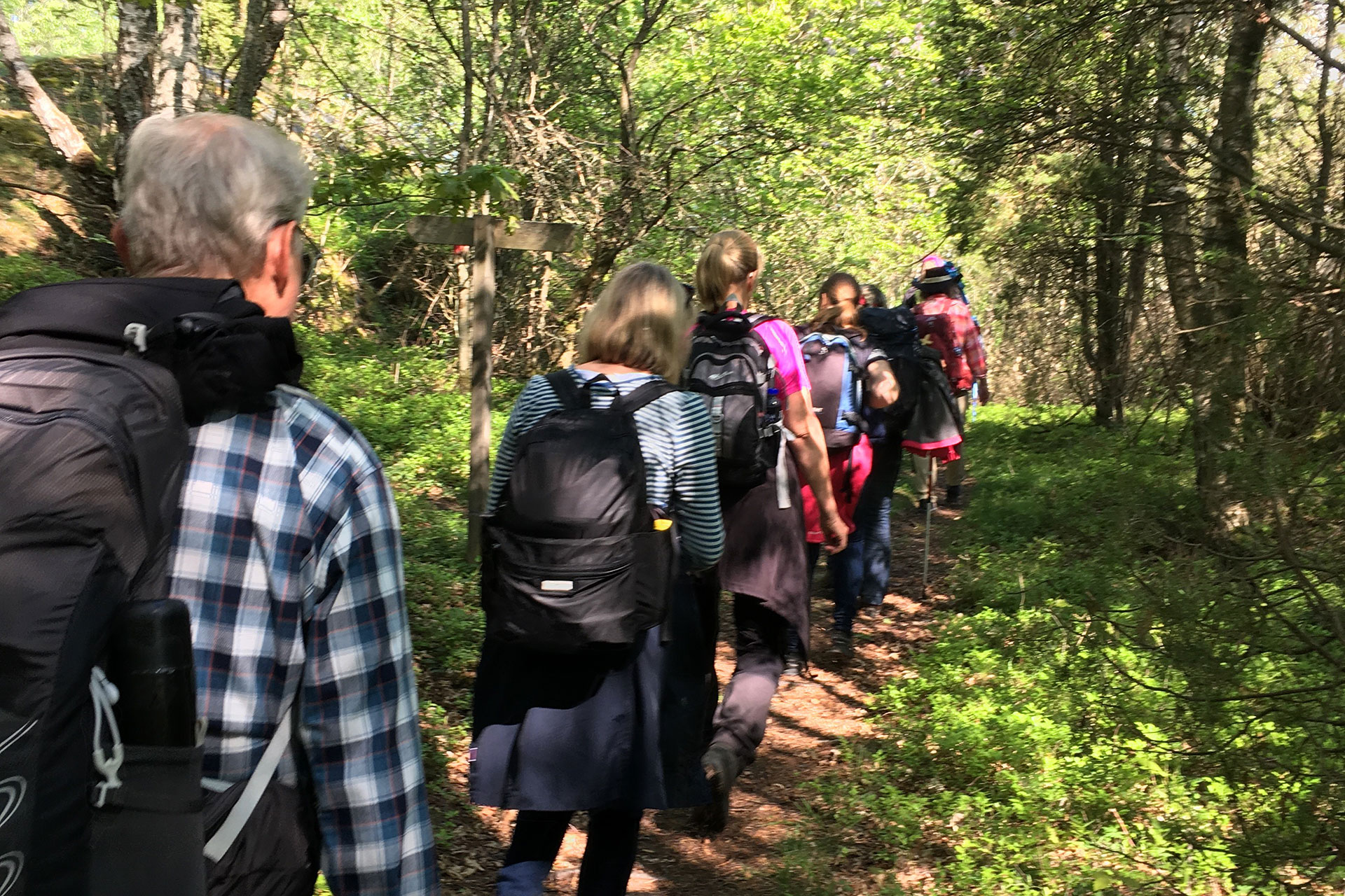 En grupp människor vandrar längs en stig i skogen.