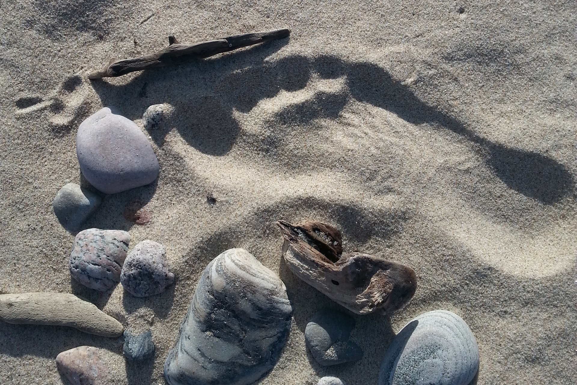 Fotavtryck i ljus sand omgivna av stenar och bitar av drivved.