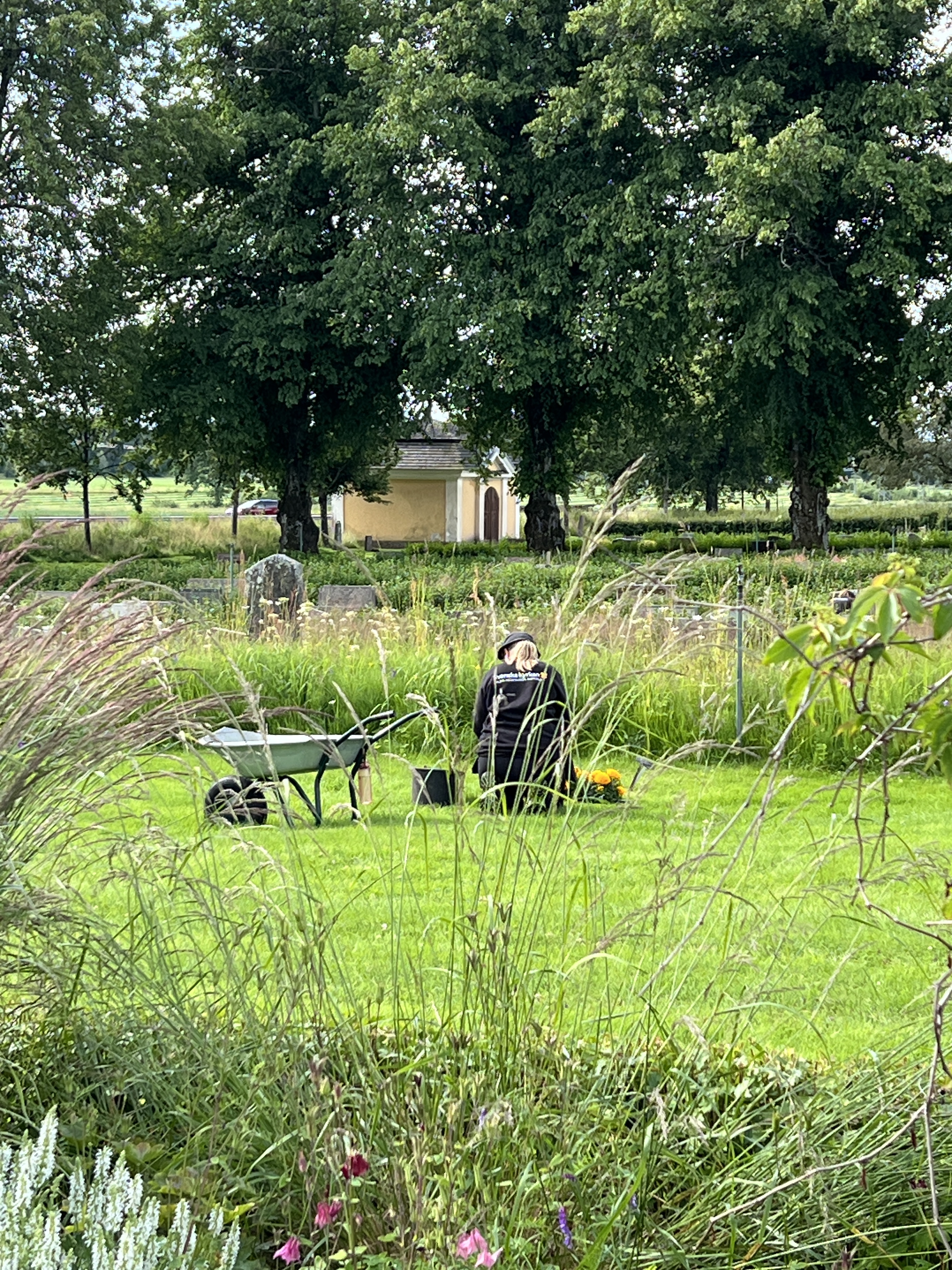 Säsongspersonal rensar ogräs på en grav.
