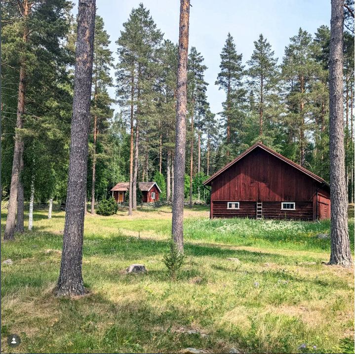 Fäbodbyggnad på en vall.