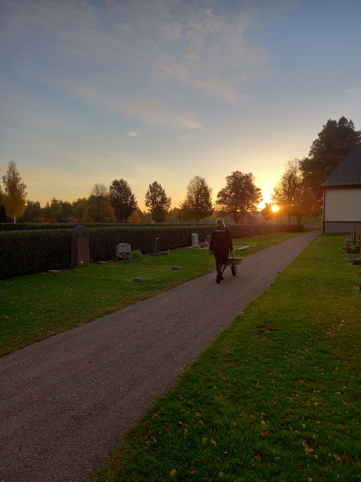 Kyrkogårdsarbetare kör en skottkärra lastad med borttagna sommarblommor.