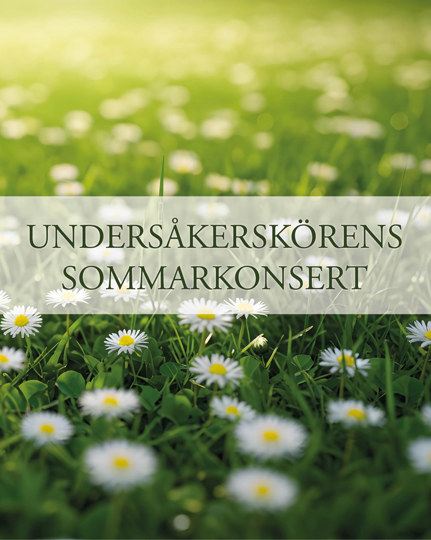 Sommarkonsert