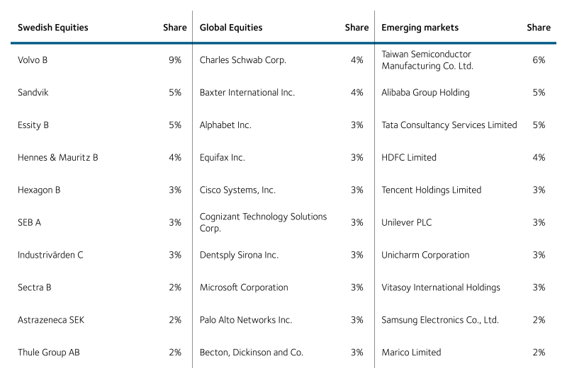 Our largest holdings in equities 2020