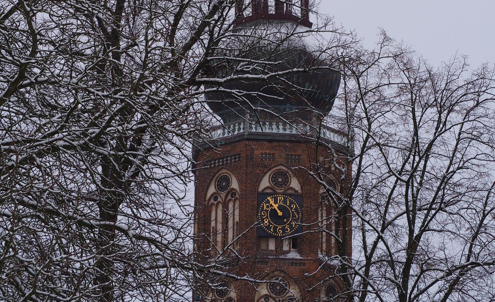 En del av klocktornet på S:t Nikolai-kyrkan i Greifswald fotograferat en vinterdag. Tornet är omgivet av snötäckta trädgrenar.