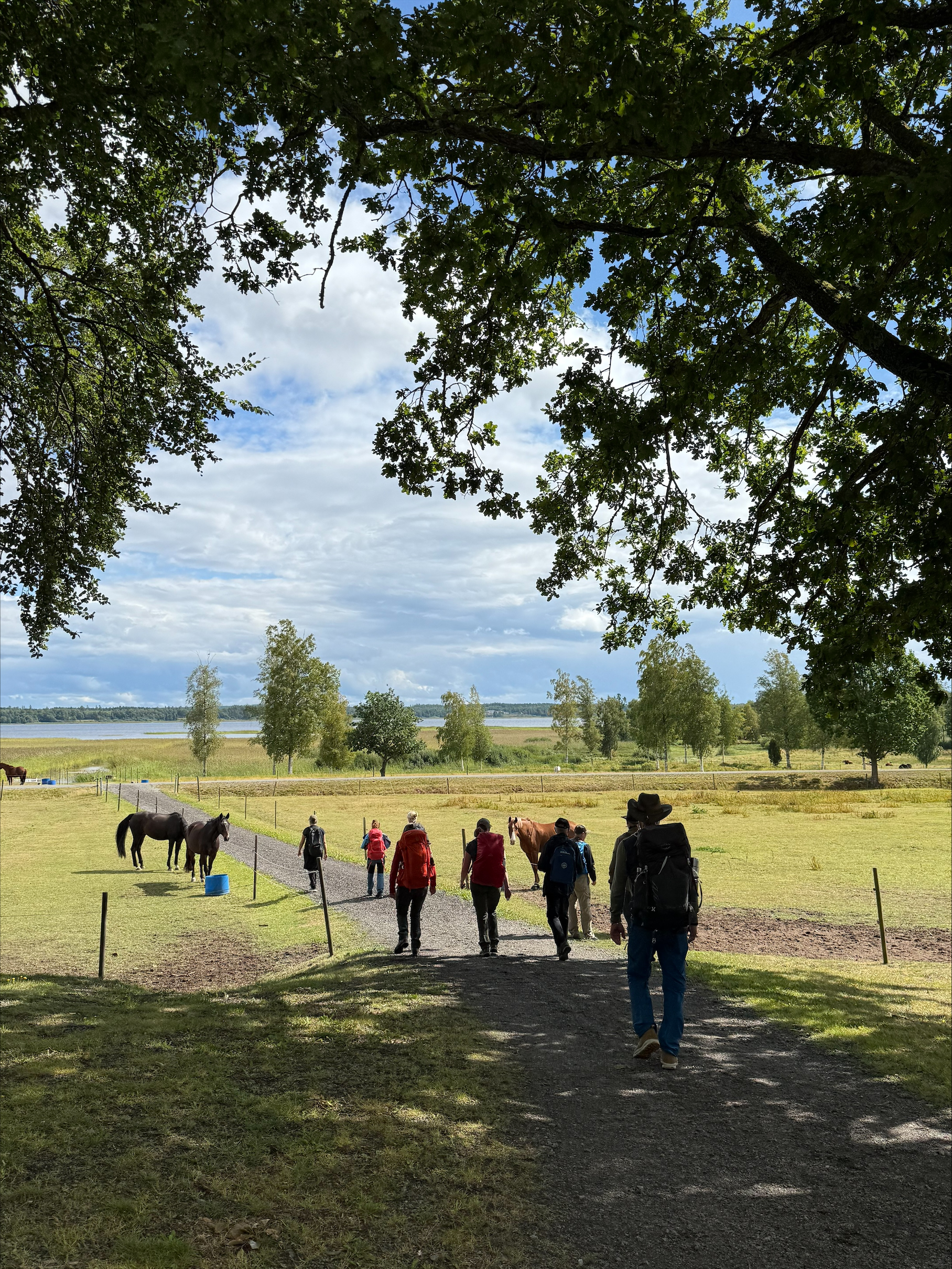 Vandrare på avstånd, omgivna av vacker natur - gröna fält, hästar, grönskande träd och en sjö.
