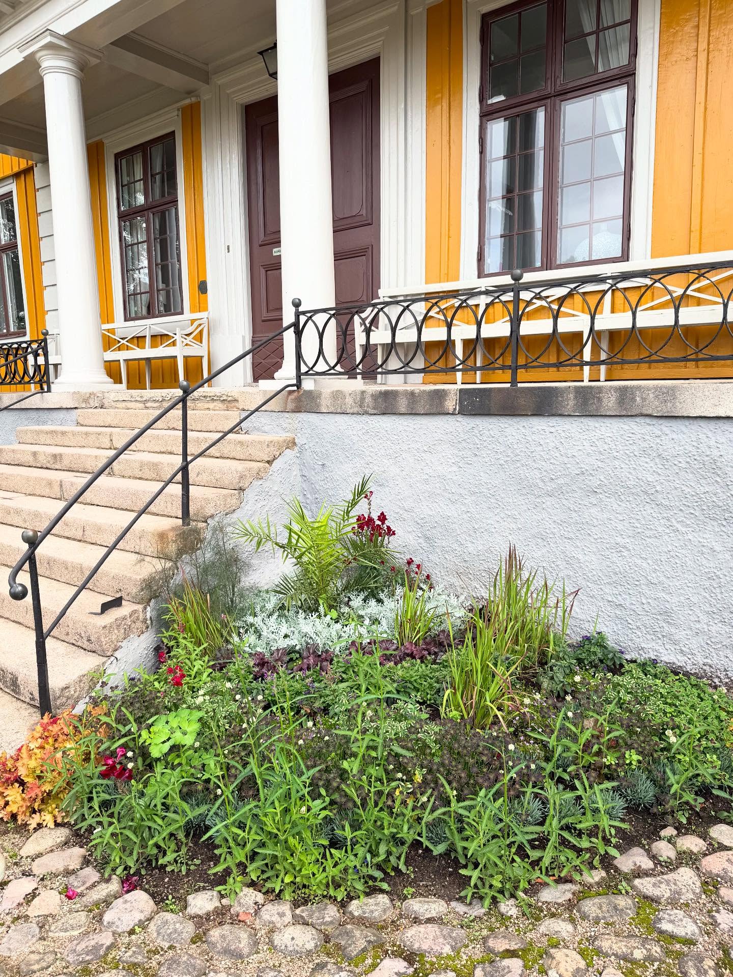 En grönskande rabatt med rundad kant, nedanför trappan på biskopsgården Östrabo.