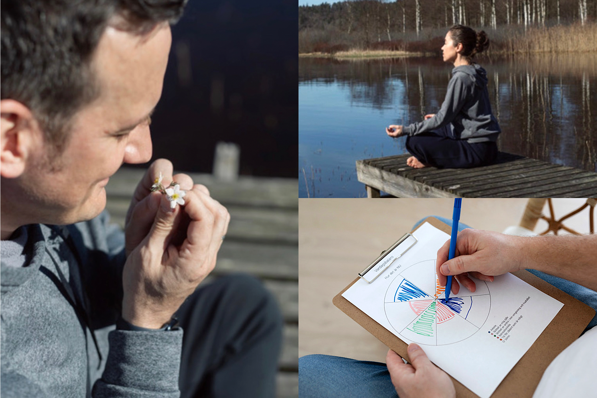 Kollage av bilder på människor som mediterar och gör hälsotest. 