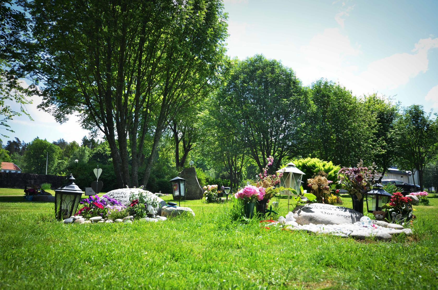 Mindre gravar med blommor i olika färger på Landvetter kyrkogård. Grönt gräs på en solig dag.