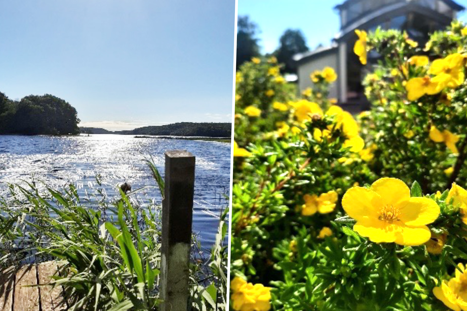 Sommarmotiv Härryda kyrkogård