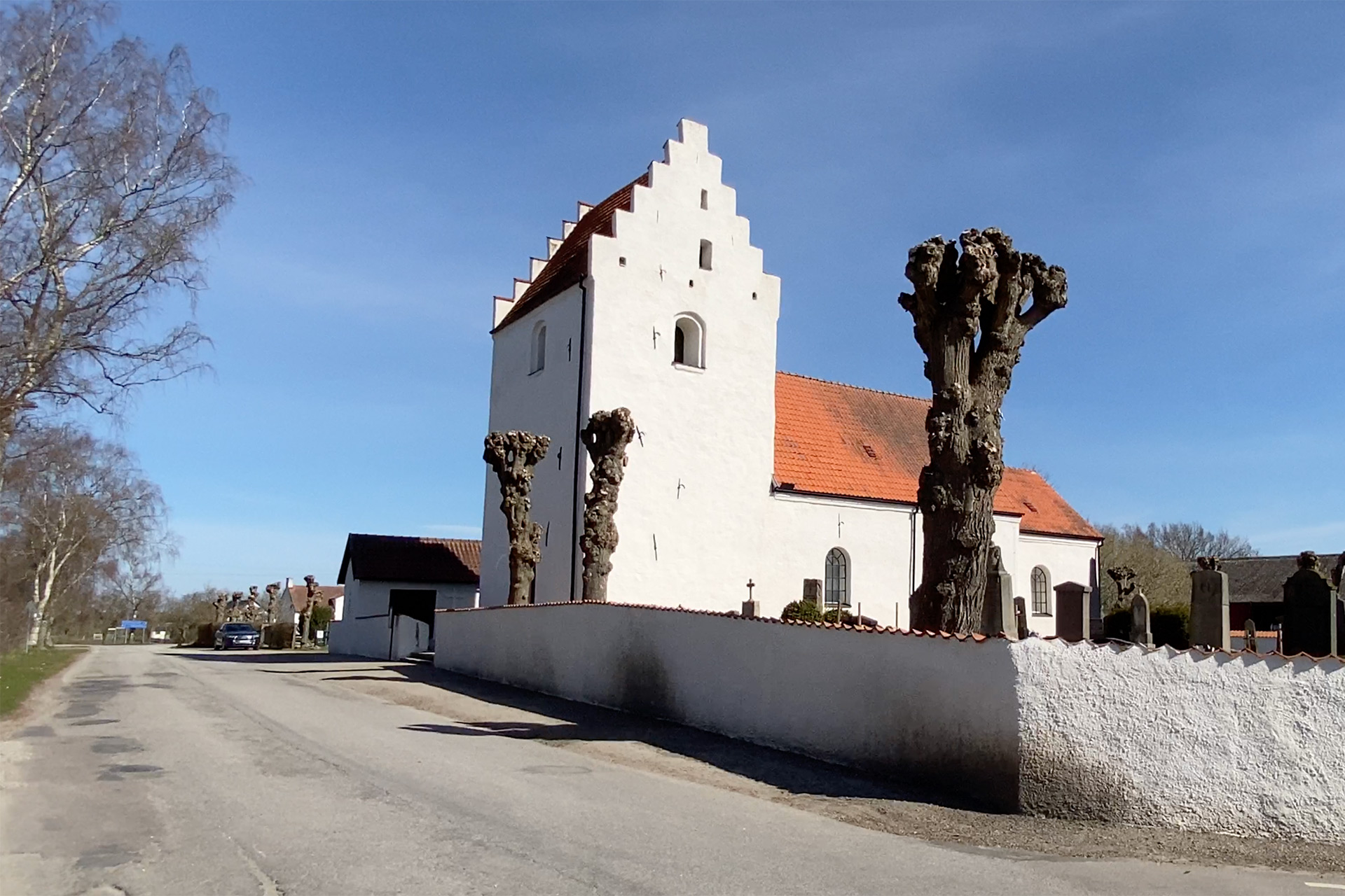 Vitkalkad kyrka med vit kalkad mur och pilträd.