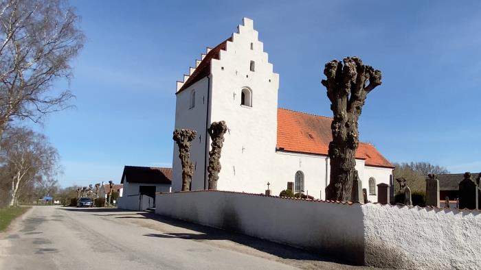 Vitkalkad kyrka med vit kalkad mur och pilträd.