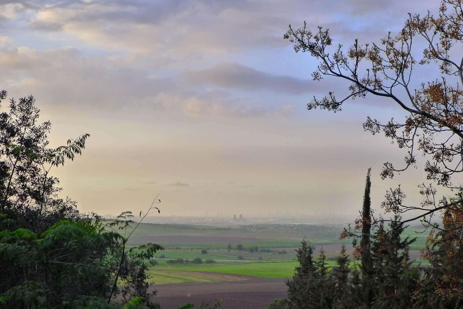 Neve Shalom - Fredens Oas