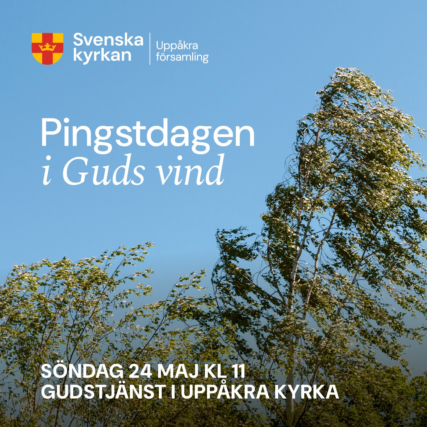 Vind i träd